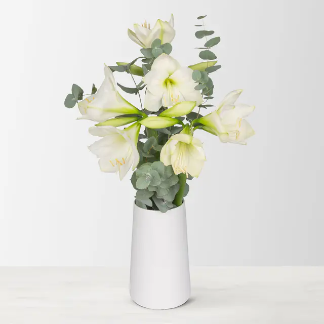 Schnittblumen-Mix aus 3 weißen Amaryllis & 3 Eukalyptus