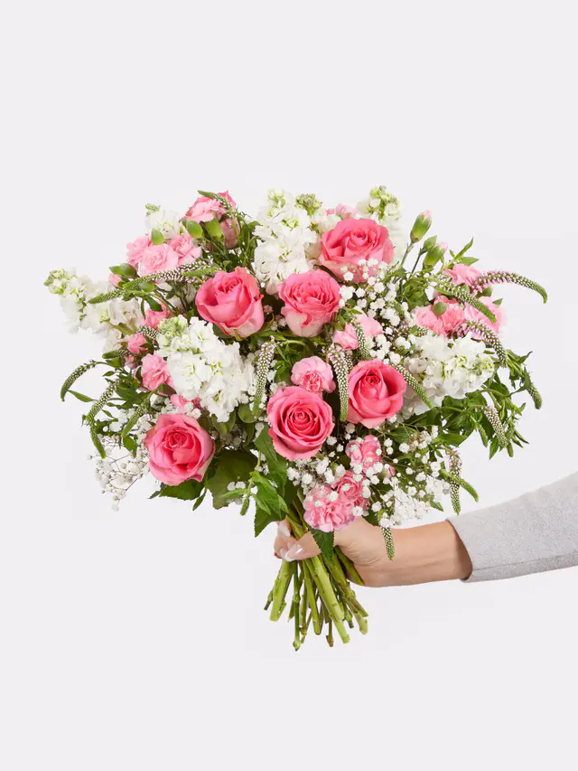 Enjoy Your Day