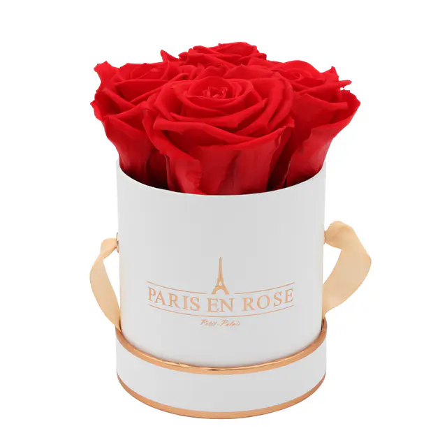 "Rosenbox Petit"