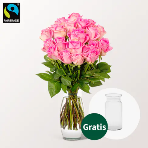 20 pinke Fairtrade Rosen im Bund