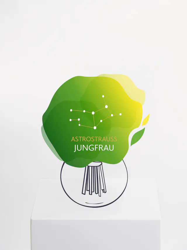Astrostrauß Jungfrau