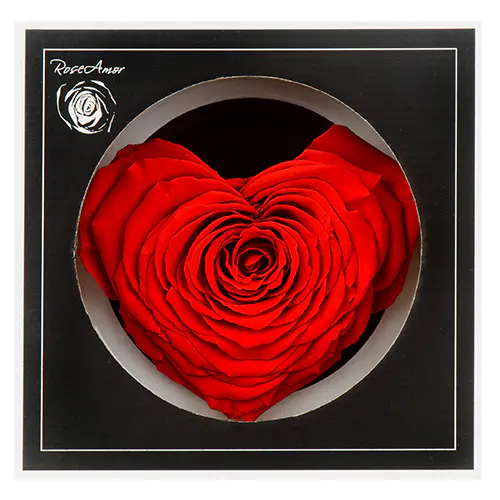 Rosenblüte in Herzform