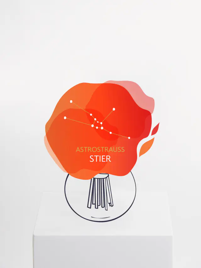 Astrostrauß Stier