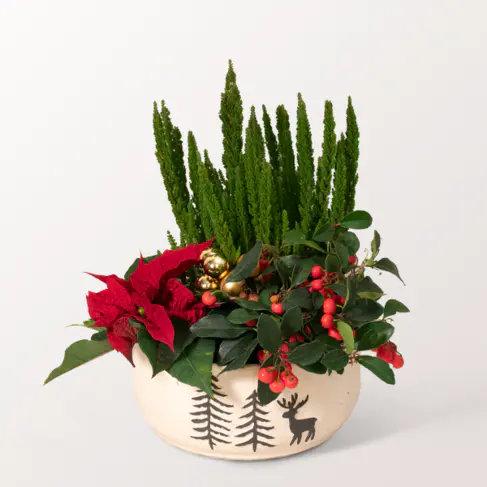Arrangement Wintermagie