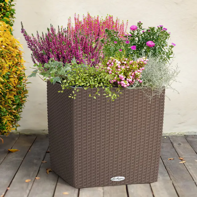 Pflanzenkreation Herbstspaziergang pink-silber, 8 Pflanzen inkl. Erde