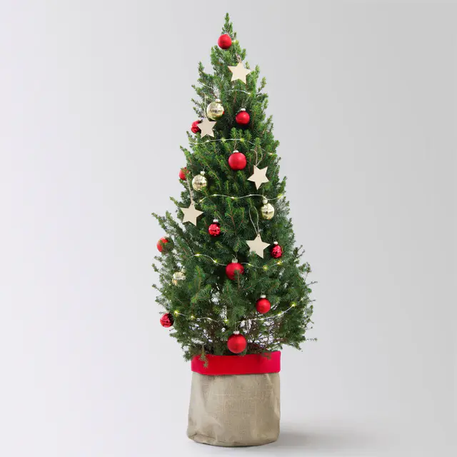 Weihnachtsbäumchen inkl. Deko, rot-gold, Höhe 120 cm, Topf-Ø 26 cm