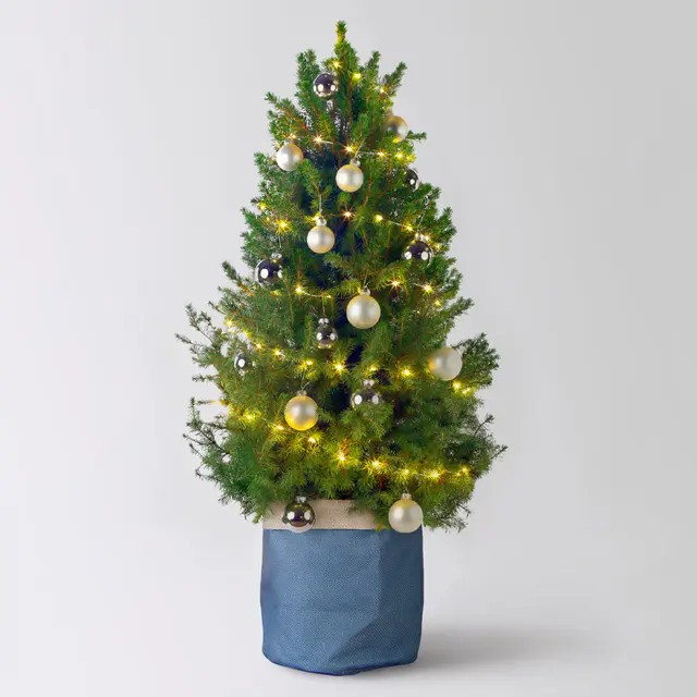 Weihnachtsbäumchen weiß-silber, Topf-Ø 25 cm, Höhe ca. 100 cm