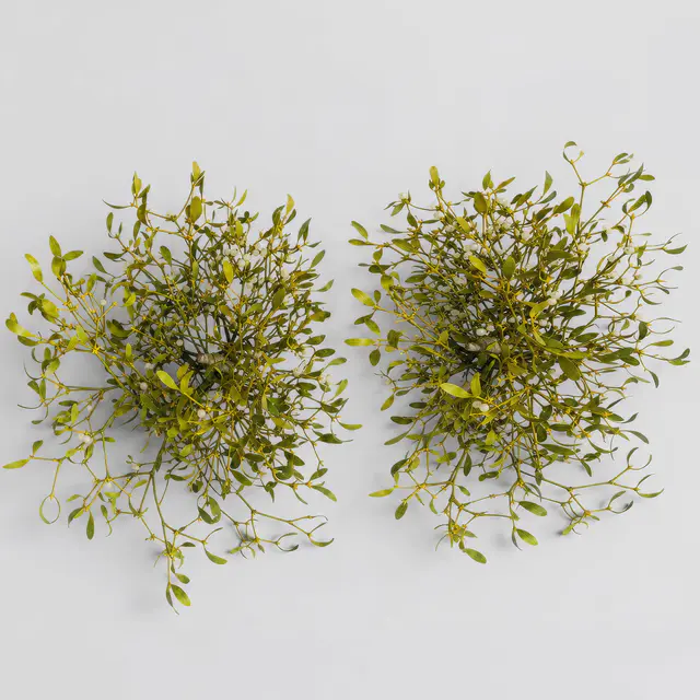 Mistelkrone natur, klein, ca. 25-35 cm Ø, 2 Stück