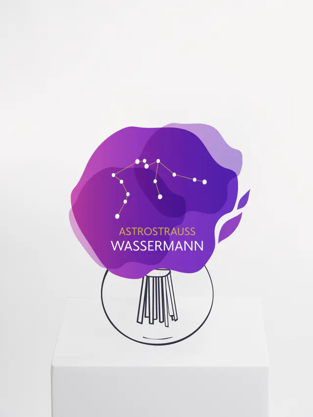 Astrostrauß Wassermann