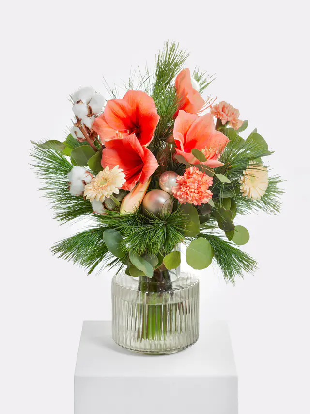 Apricot Dream