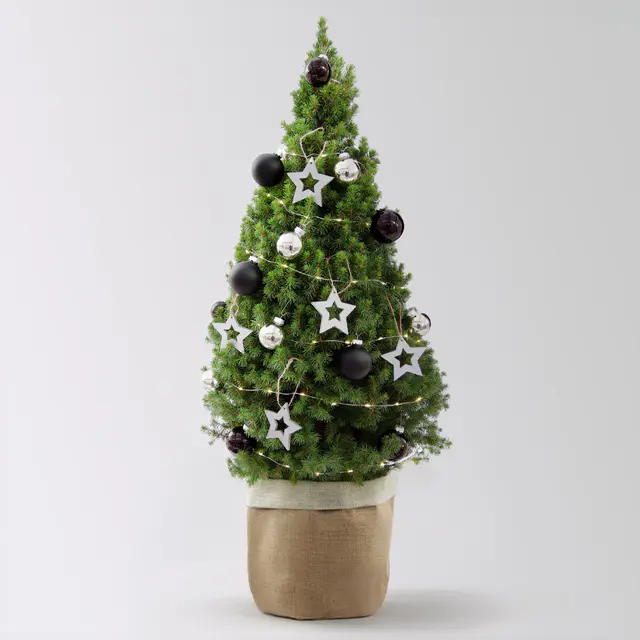 Weihnachtsbäumchen inkl. Deko, silber-schwarz, Höhe ca. 80 cm, Topf-Ø 25 cm