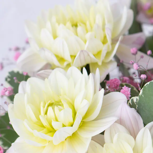 Blumenstrauß Dahlia — Bild 3