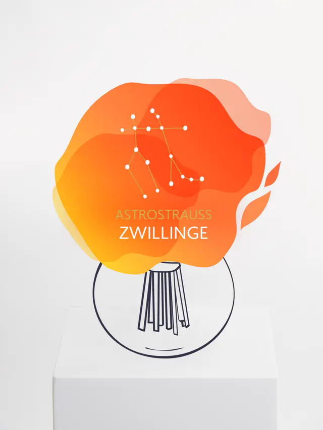 Astrostrauß Zwillinge