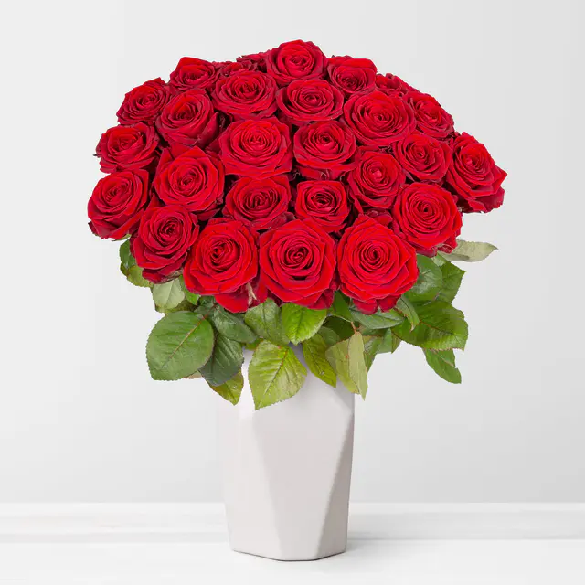 50 rote Rosen 'Red Naomi'