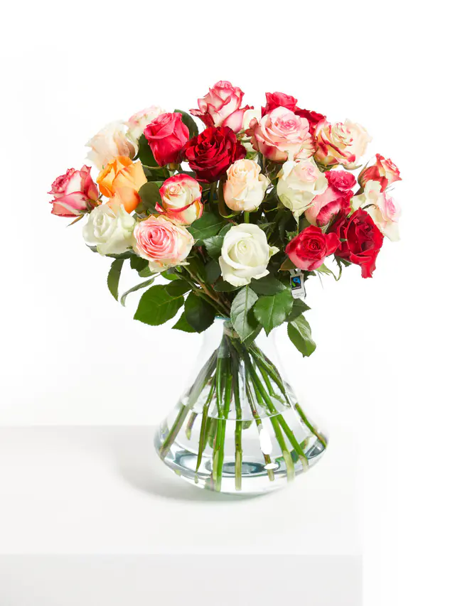 Rosenfreude