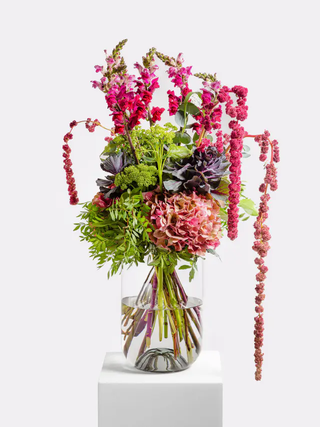 Herbst-Eleganz