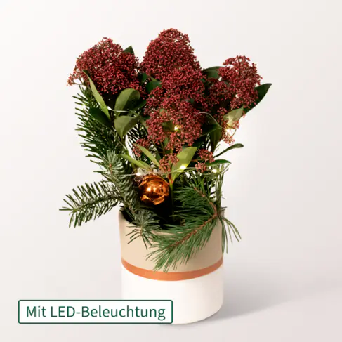 Rote Weihnachts-Skimmie mit Lichterkette