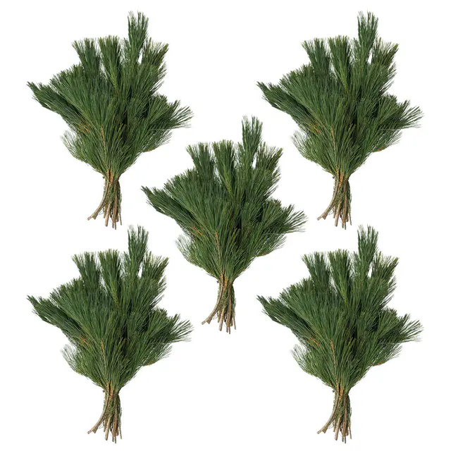 Seidenkiefer im Handbund, ca. 30-40cm lang, 5 Bund