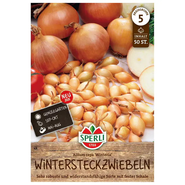 Sperli Wintersteckzwiebeln 'Winteria®', gelb, 50 Zwiebeln