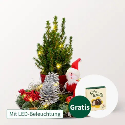 Arrangement Santa mit Lichterkette &