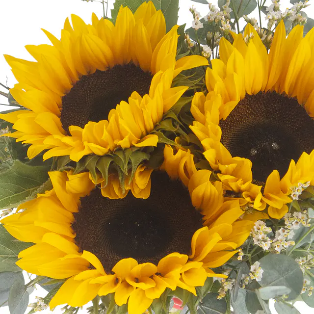 Blumenstrauß Sonnenblumen mit Eukalyptus — Bild 2