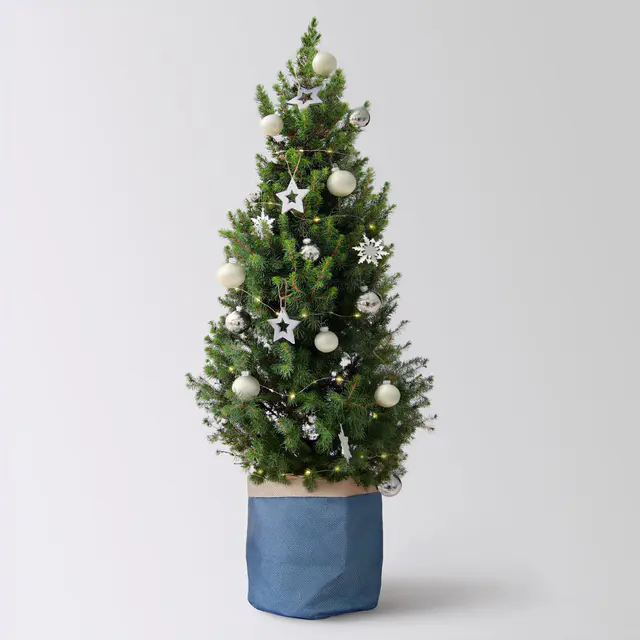 Weihnachtsbäumchen inkl. Deko, silber-weiß, Höhe 120 cm, Topf-Ø 26 cm