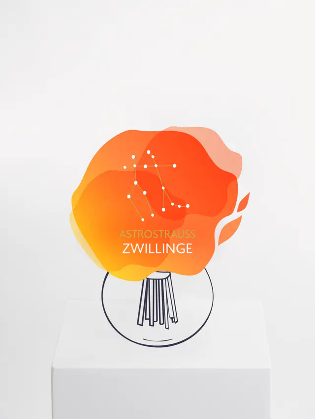 Astrostrauß Zwillinge