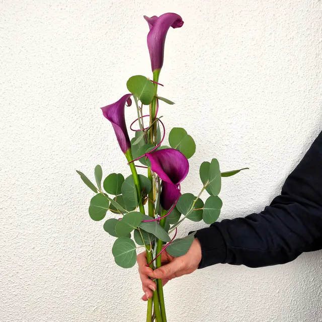 "Calla de luxe"