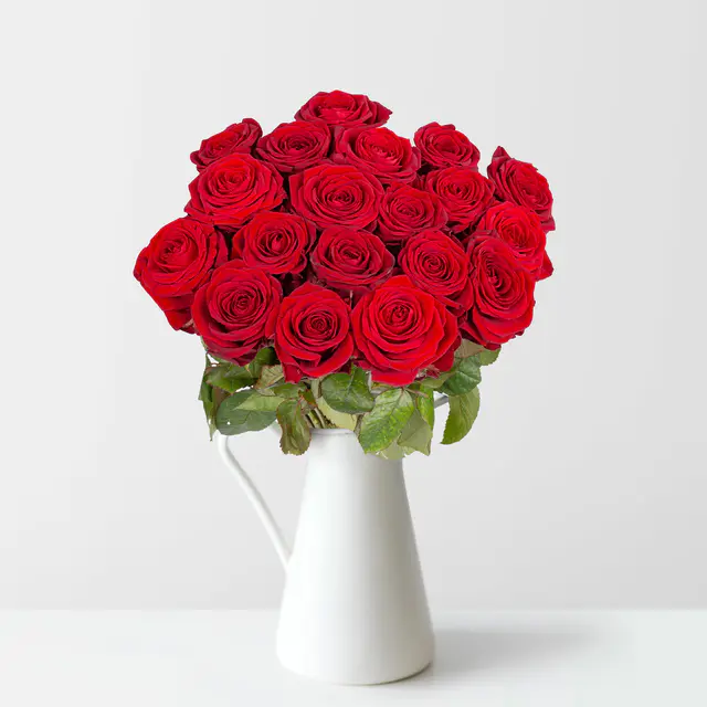 25 rote Rosen 'Red Naomi'