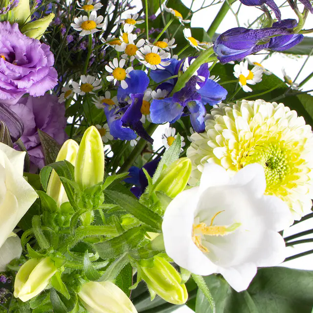 Wiesenstrauß Nelia XL — Bild 3