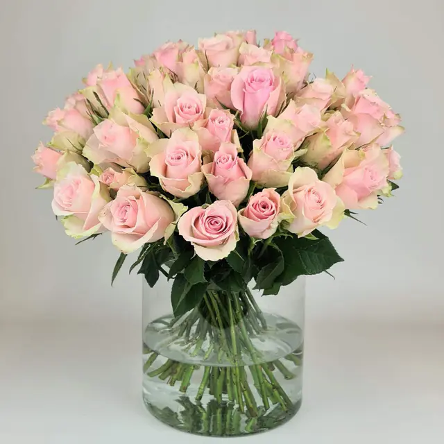 "Charmante Rosen"
