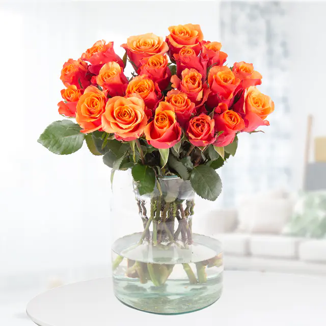 20 Orange Rosen (40cm)