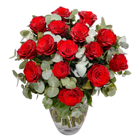 Rote Premiumrosen