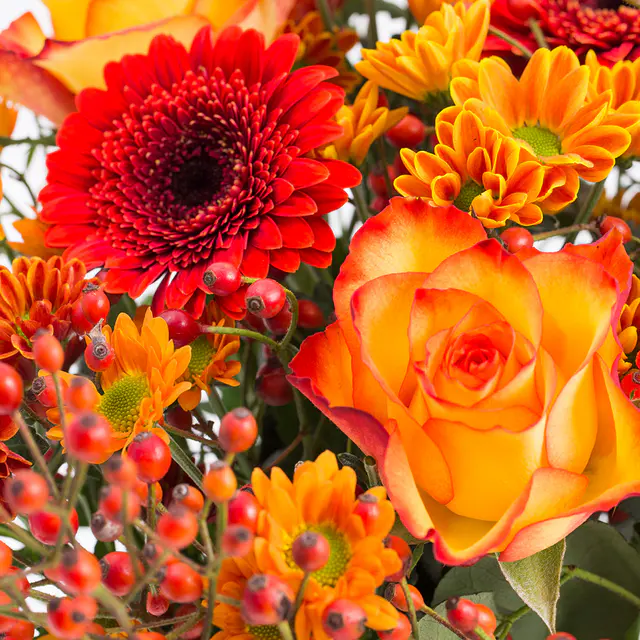 Herbststrauß Celia — Bild 2