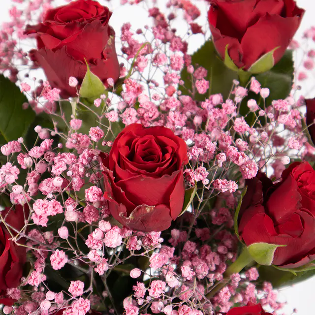 10 Rote Rosen (40cm) mit Schleierkraut — Bild 2