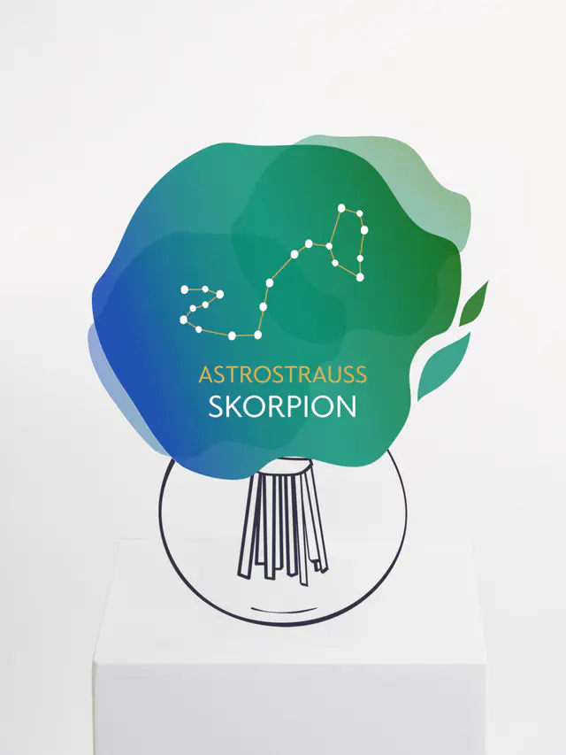 Astrostrauß Skorpion