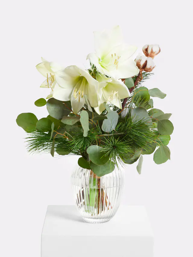Magic White