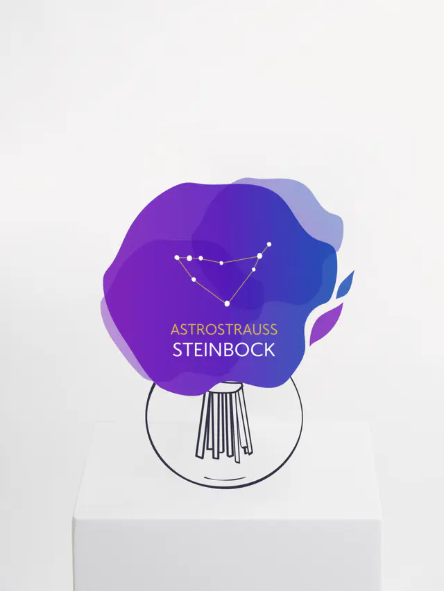 Astrostrauß Steinbock