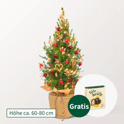 Weihnachtsbaum Weihnachtsstrahlen mit Lichterkette &