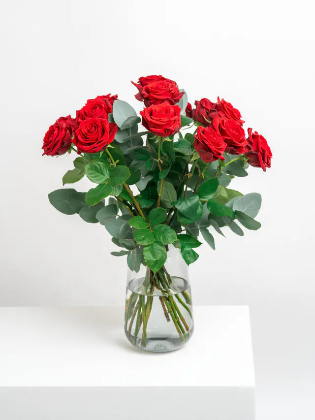 Rosenträume