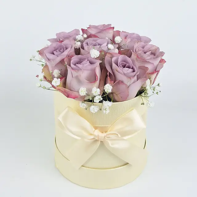 "Box Rhodos"