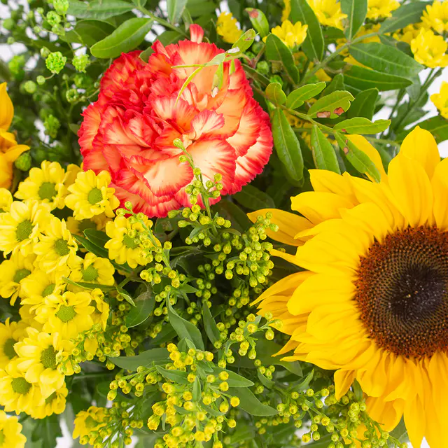 Blumenstrauß Südwind — Bild 2