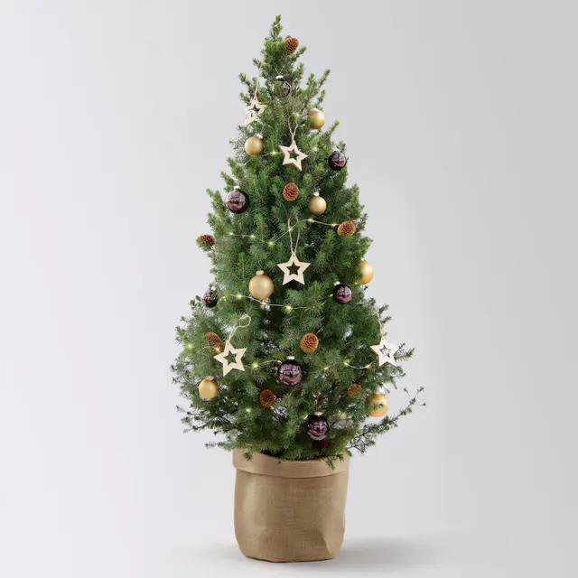 Weihnachtsbäumchen inkl. Deko, braun-gold, Jutesack natur, Höhe ca. 120 cm