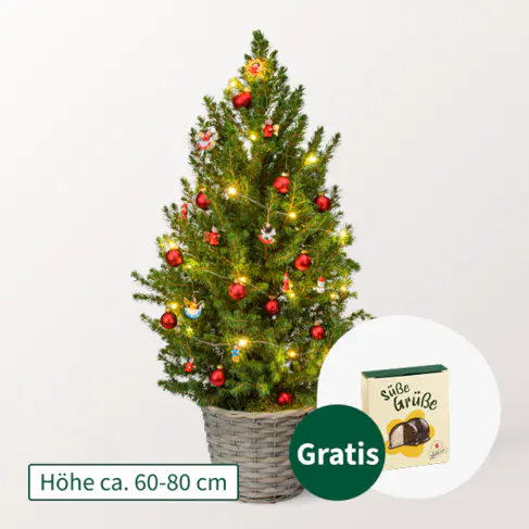 Weihnachtsbaum Weihnachtsmärchen mit LED-Beleuchtung &