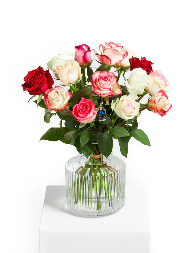 Rosenfreude