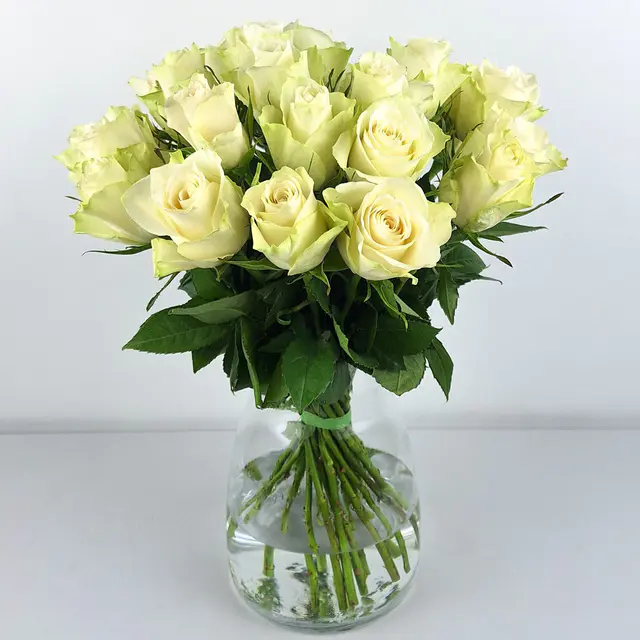 Weiße Rosen