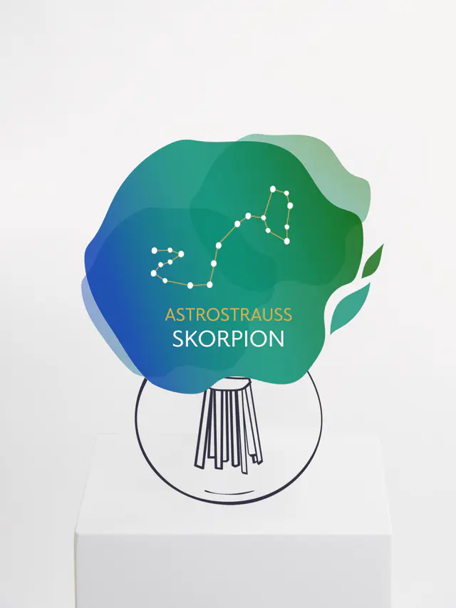 Astrostrauß Skorpion