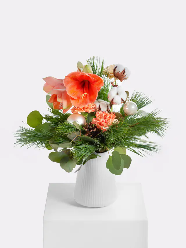 Apricot Dream
