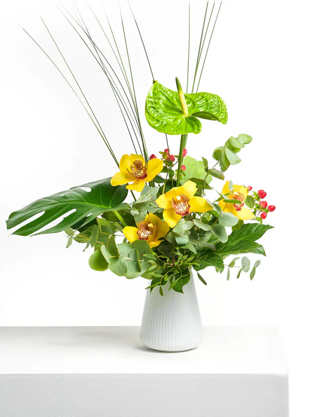 Magie der Orchideen