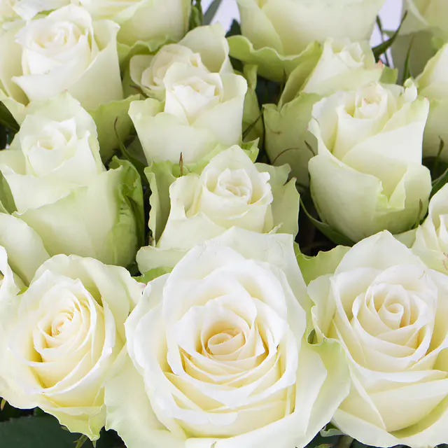 40 Weiße Rosen (40cm) — Bild 2